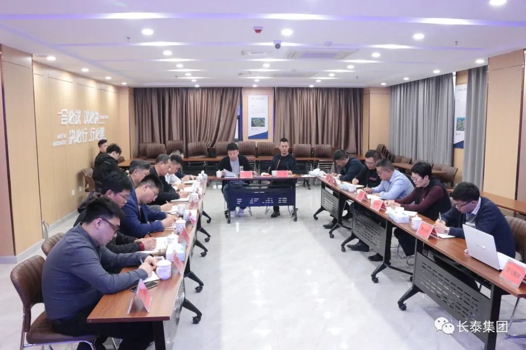 集團時訊丨集團召開[長泰瑞馬?棠頌項目]股東經營通報會(圖4)